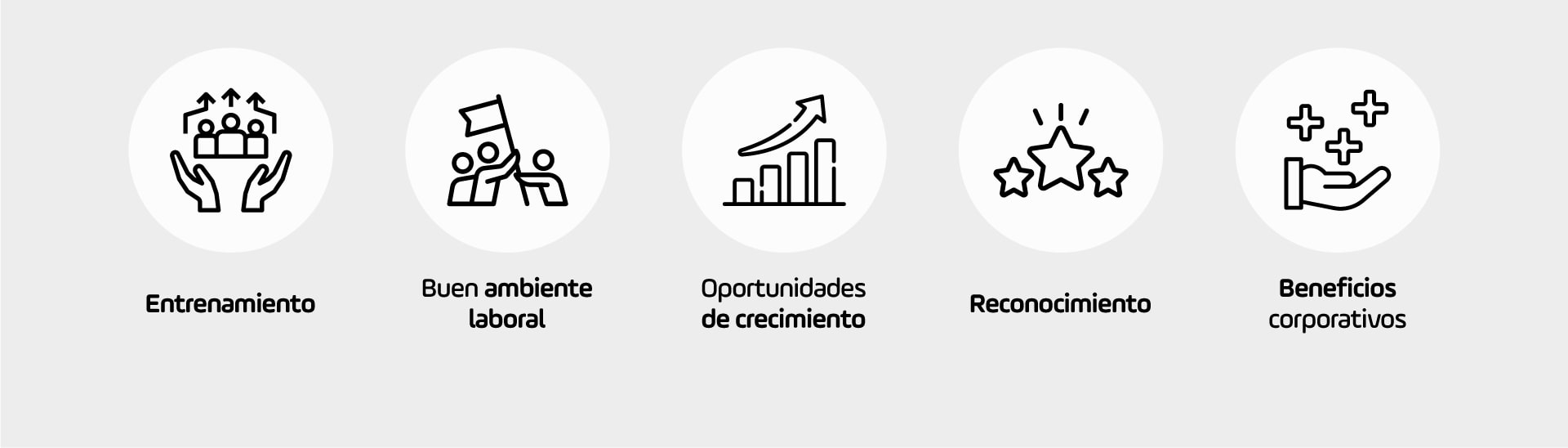 Empleos Nissei Desktop 3